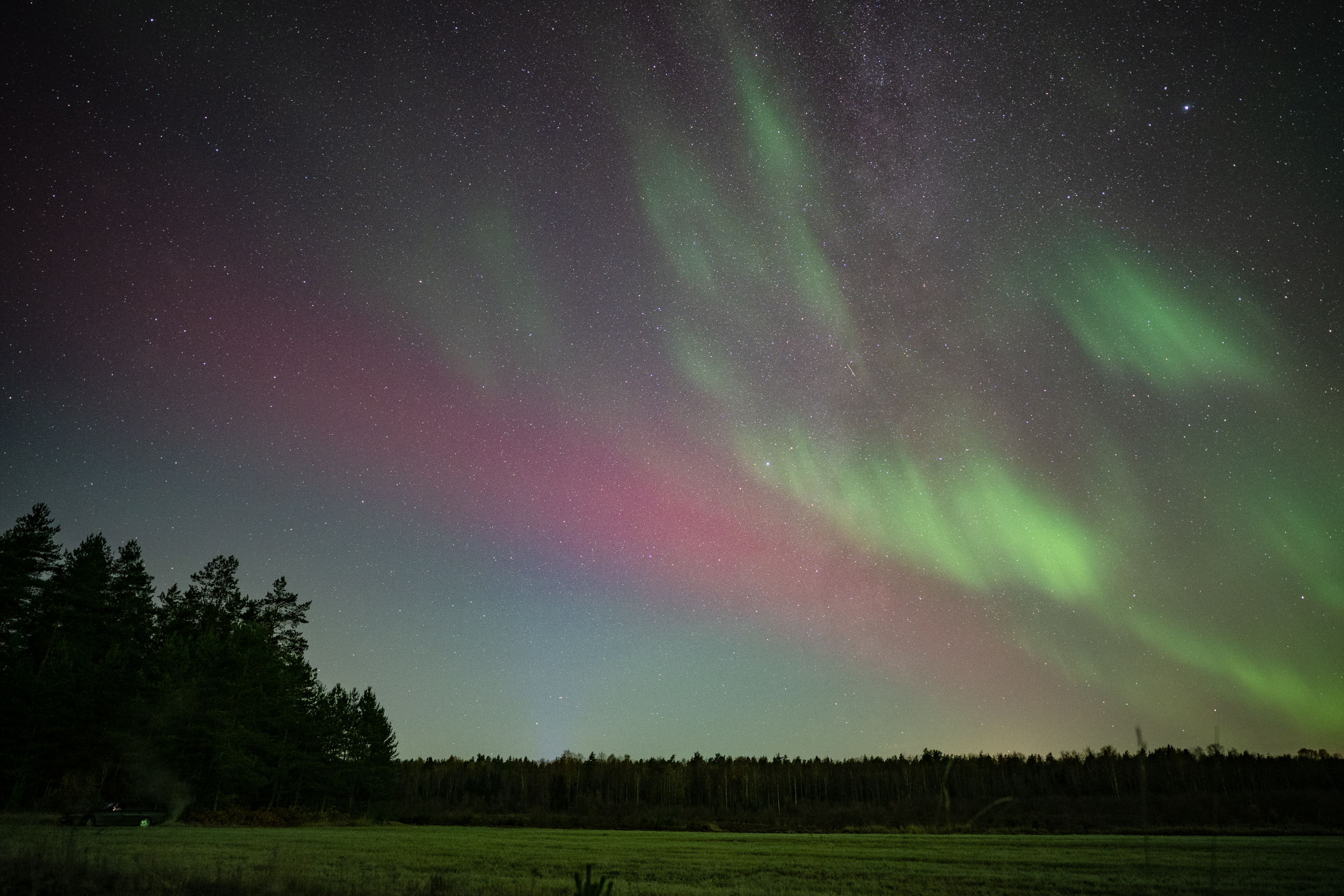 Субавроральные явления