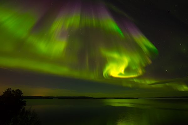 IMG_4212_1 IMG_4212_1