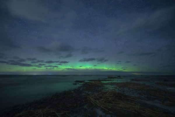 LPaqTA8XqMM LPaqTA8XqMM