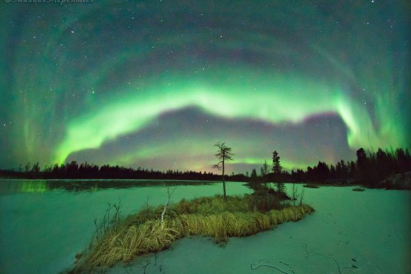 XPIzOsngEZw XPIzOsngEZw