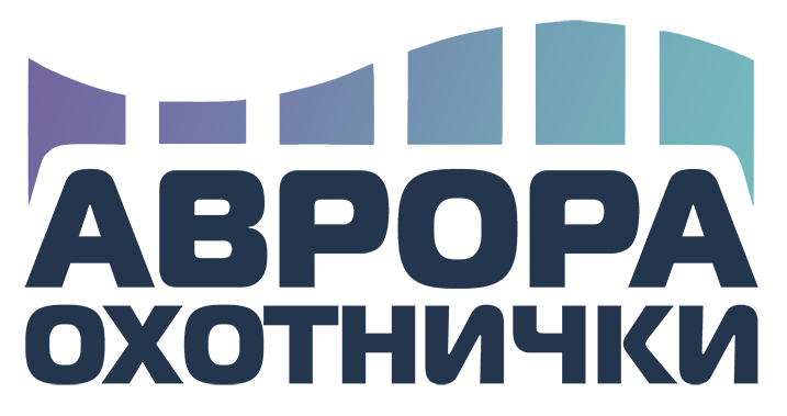 Aurora Hunters SPB, Охотники за северным сиянием СПб.